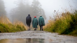 Wanderer gehen bei Regen und Nebel über einen Weg.