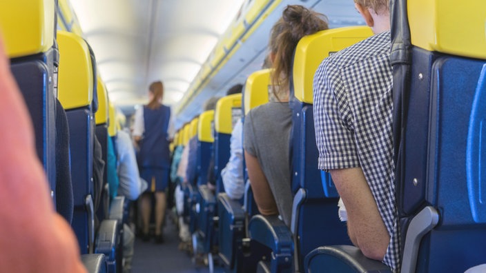 Das Bild zeigt eine Innenansicht einer Flugzeugkabine.