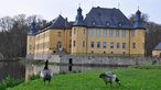 Zwei Gänse vor dem Schloss Dyck