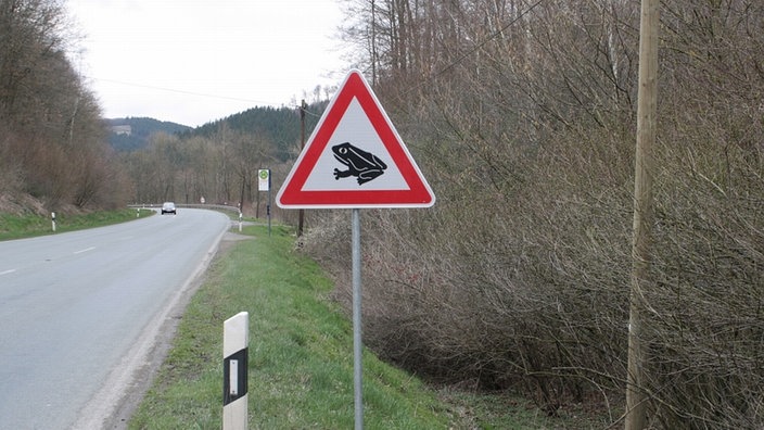 Warnschild Krötenwaderung an Straße