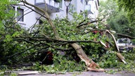 Äste liegen in Gelsenkirchen nach einem Unwetter auf einem Auto