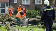 Ein Mitarbeiter der Stadt Recklinghausen zersägt am 10.06.2014 in Recklinghausen (Nordrhein-Westfalen) einen auf der Straße liegenden Baum