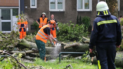 Ein Mitarbeiter der Stadt Recklinghausen zersägt am 10.06.2014 in Recklinghausen (Nordrhein-Westfalen) einen auf der Straße liegenden Baum