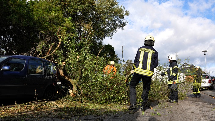 Feuerwehrmänner befreien ein Auto von einem umgekippten Baum