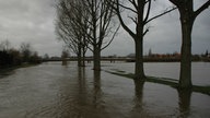 Ein Landstrich bei Warendorfist vom Hochwasser betroffen, Bäume und eine Brücke stehen unter Wasser, 2007