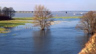 Mündig der Lippe bei Hochwasser 